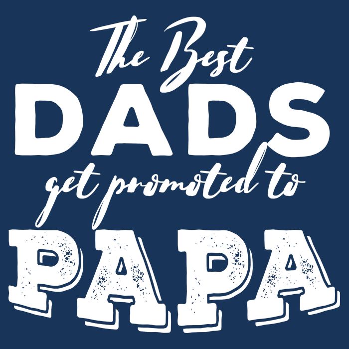 Best Dads Promoted To Papa Funny Gift 7 Panel Mesh Trucker Snapback Hat