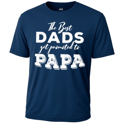Best Dads Promoted To Papa Funny Gift Performance Shirt