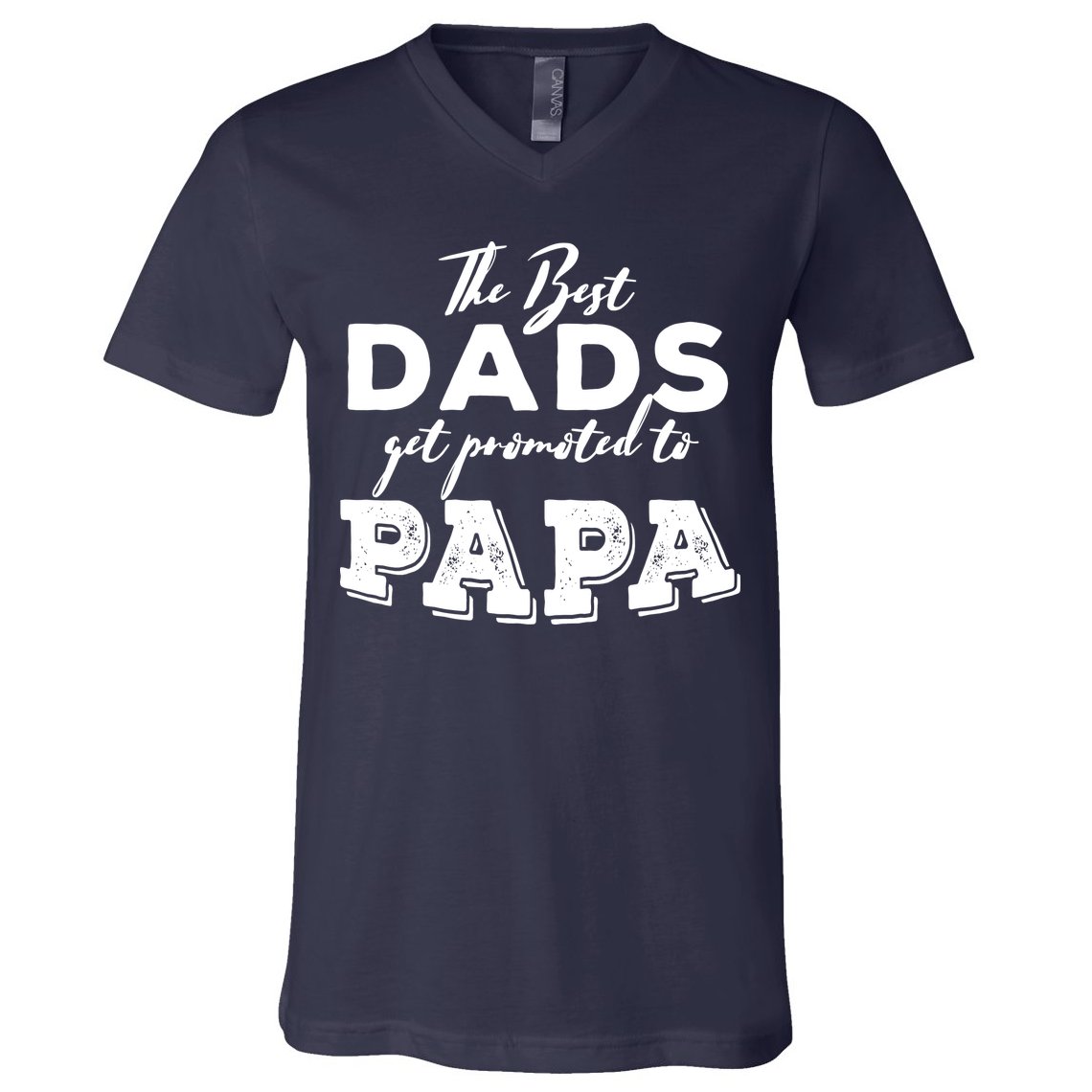 Best Dads Promoted To Papa Funny Gift V-Neck T-Shirt
