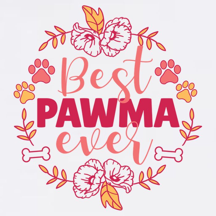 Best Pawma Ever Grandma Wool Snapback Cap