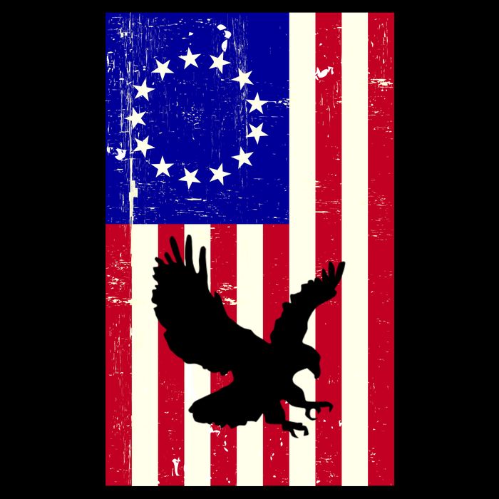 Betsy Ross 4th Of July American Flag Cooling Performance Long Sleeve Crew