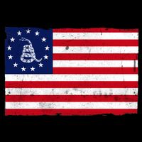 Betsy Ross Don't Tread On Me Flag Poster