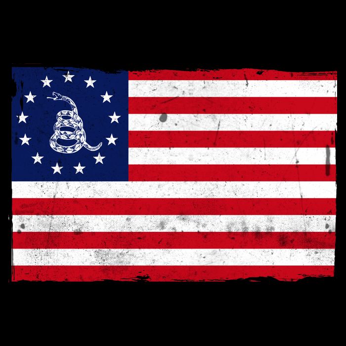Betsy Ross Don't Tread On Me Flag Poster