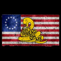 Betsy Ross Don't Trend On Me Snake Toddler T-Shirt