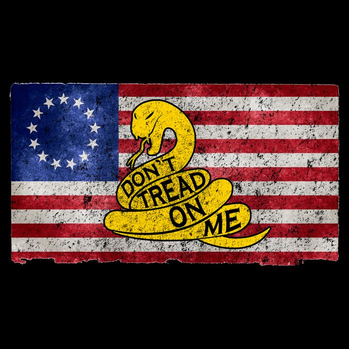 Betsy Ross Don't Trend On Me Snake Toddler T-Shirt