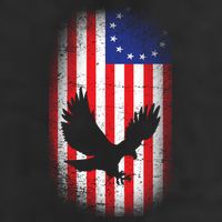 Betsy Ross Flag 13 Colonies Bald Eagle Adult Drive Performance Visor