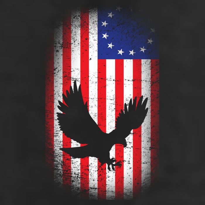 Betsy Ross Flag 13 Colonies Bald Eagle Adult Drive Performance Visor