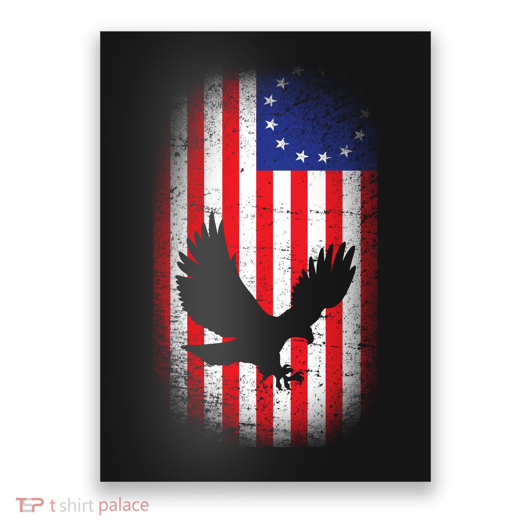 Betsy Ross Flag 13 Colonies Bald Eagle Poster