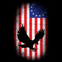 Betsy Ross Flag 13 Colonies Bald Eagle Baby Bodysuit