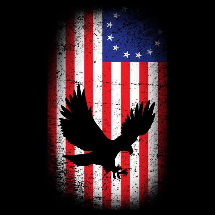 Betsy Ross Flag 13 Colonies Bald Eagle Baby Bodysuit