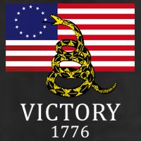 Betsy Ross Flag Don't Tread On Me 13 Colonies Garment-Dyed Fleece Hoodie