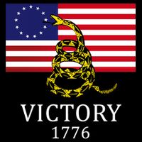 Betsy Ross Flag Don't Tread On Me 13 Colonies Poster