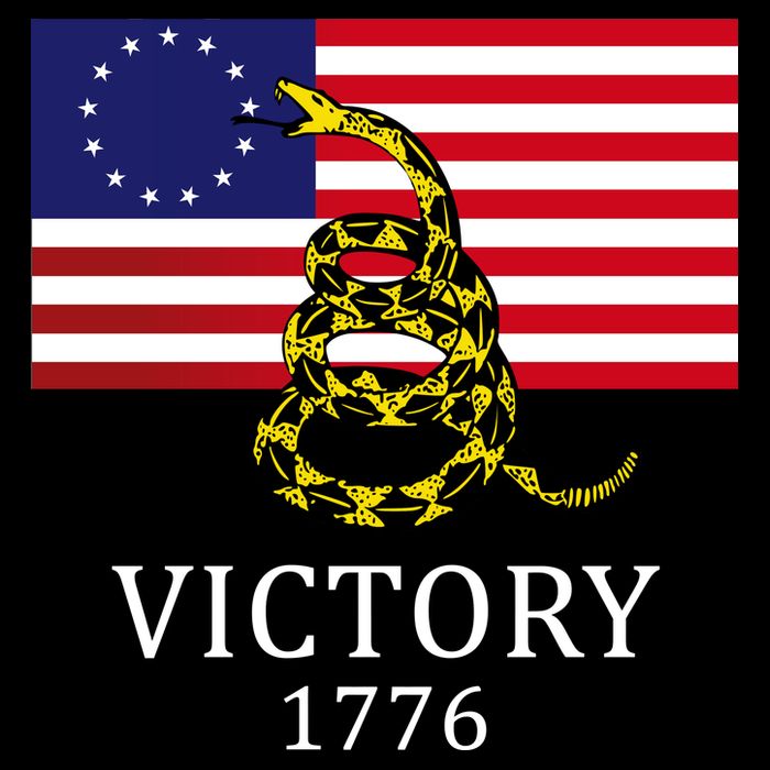 Betsy Ross Flag Don't Tread On Me 13 Colonies Poster