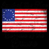 Betsy Ross Land Of The Free Because Of The Brave Mug