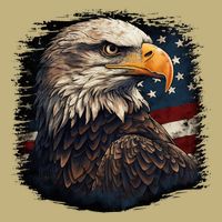 Bald Eagle Us American Flag 4th Of July Proud Patriotic Cooling Performance Crew T-Shirt