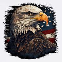 Bald Eagle Us American Flag 4th Of July Proud Patriotic Adult Drive Performance Visor