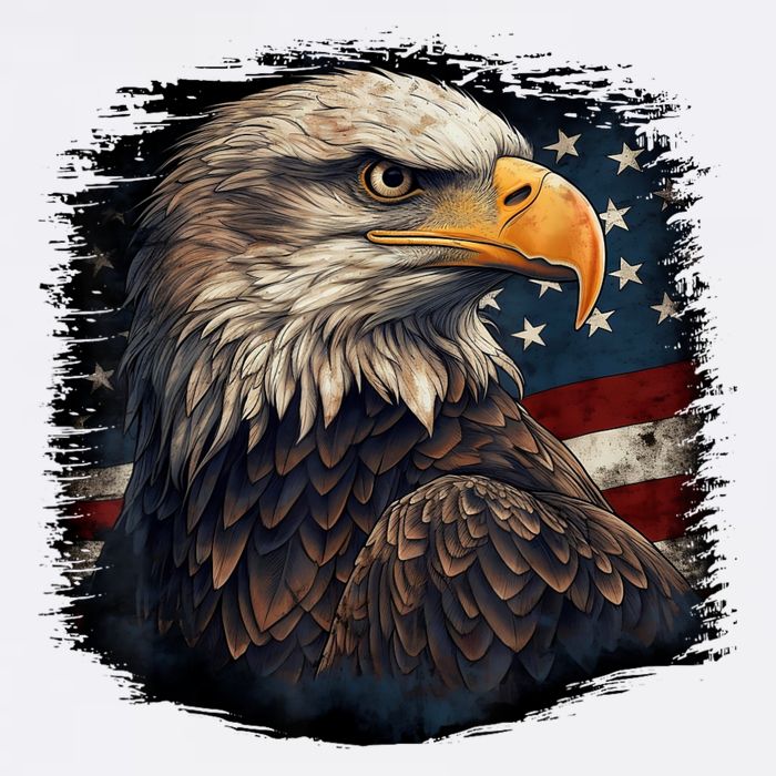 Bald Eagle Us American Flag 4th Of July Proud Patriotic Cool Comfort Performance Bucket Hat