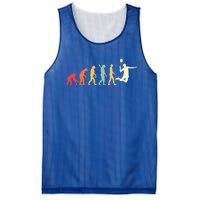 Badminton Evolution Vintage Retro Sports Funny Badminton Gift Mesh Reversible Basketball Jersey Tank