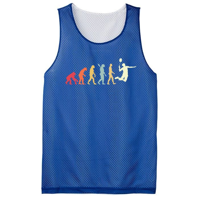 Badminton Evolution Vintage Retro Sports Funny Badminton Gift Mesh Reversible Basketball Jersey Tank