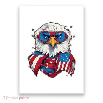 Bald Eagle With American Flag IA Poster