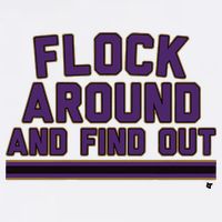 Baltimore Flock Around And Find Out T-Shirt