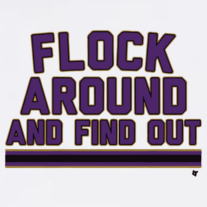 Baltimore Flock Around And Find Out T-Shirt