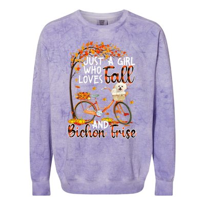 Bichon Frise And Fall Funny Dog Owner Bicycle Thanksgiving Colorblast Crewneck Sweatshirt