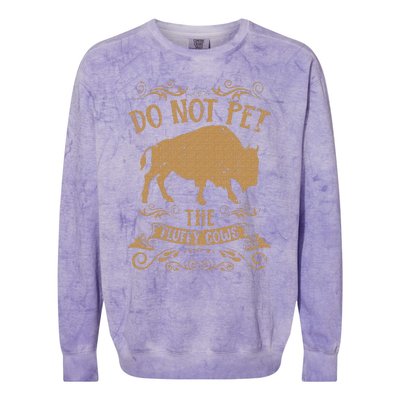 Buffalo Funny Bison Do Not Pet The Fluffy Cows Colorblast Crewneck Sweatshirt