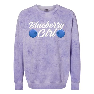 Blueberry Fruit Blueberry Gift Colorblast Crewneck Sweatshirt