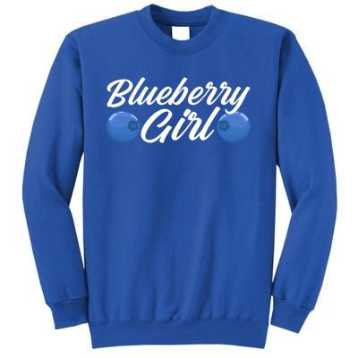 Blueberry Fruit Blueberry Gift Sweatshirt