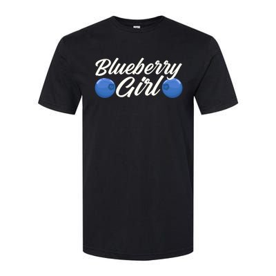 Blueberry Fruit Blueberry Gift Softstyle CVC T-Shirt