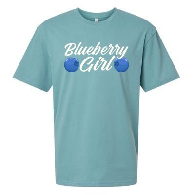 Blueberry Fruit Blueberry Gift Sueded Cloud Jersey T-Shirt