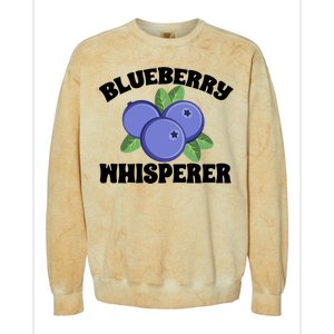 Blueberry Fruit Blueberry Whisperer Great Gift Colorblast Crewneck Sweatshirt