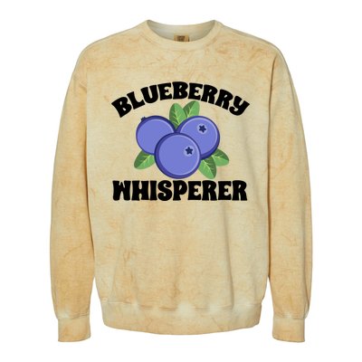 Blueberry Fruit Blueberry Whisperer Great Gift Colorblast Crewneck Sweatshirt