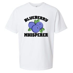 Blueberry Fruit Blueberry Whisperer Great Gift Sueded Cloud Jersey T-Shirt