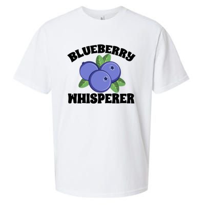 Blueberry Fruit Blueberry Whisperer Great Gift Sueded Cloud Jersey T-Shirt