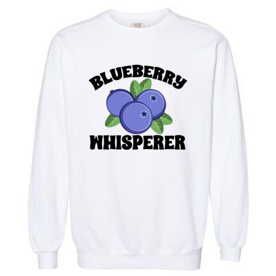 Blueberry Fruit Blueberry Whisperer Great Gift Garment-Dyed Sweatshirt