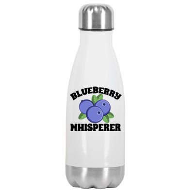 Blueberry Fruit Blueberry Whisperer Great Gift Stainless Steel Insulated Water Bottle