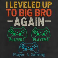 Big Funny Brother Est 2025 I Leveled To Brother Up Again Gift Announcement Adult Drive Performance Visor