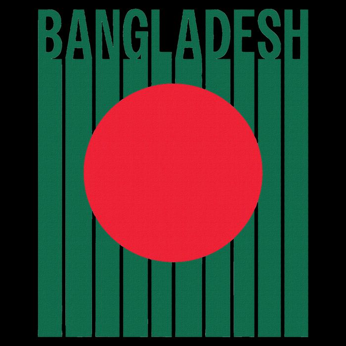 Bangladesh Flag Womens T-Shirt