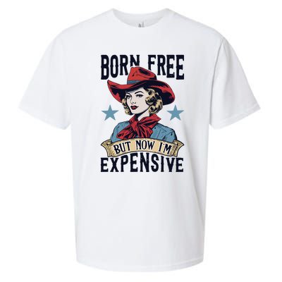 Born Free But Now Im Expensive Sueded Cloud Jersey T-Shirt