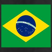 Brazilian Flag Brazil Country 7 Panel Mesh Trucker Snapback Hat