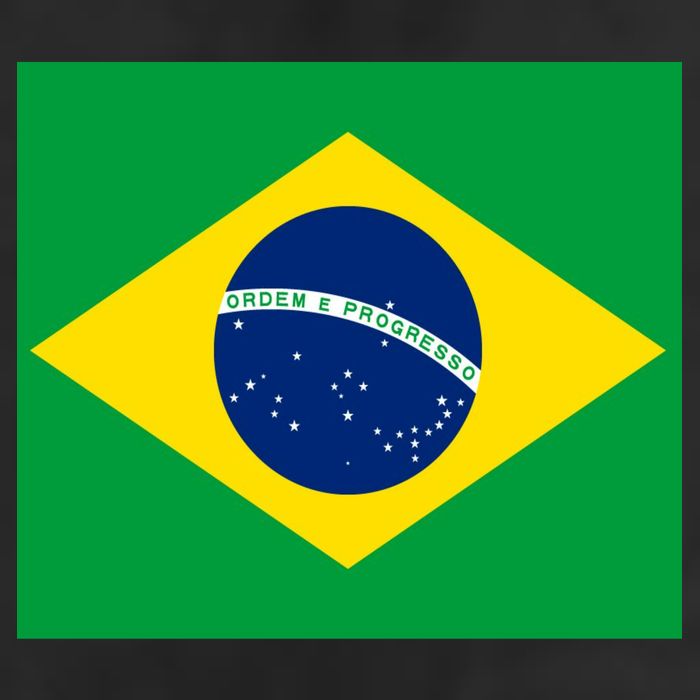 Brazilian Flag Brazil Country 7 Panel Mesh Trucker Snapback Hat