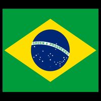 Brazilian Flag Brazil Country Toddler T-Shirt