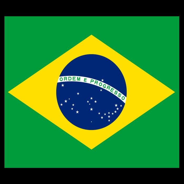 Brazilian Flag Brazil Country Toddler T-Shirt