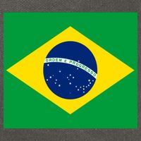 Brazilian Flag Brazil Country Cotton Canvas Backpack