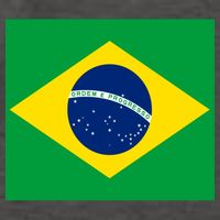 Brazilian Flag Brazil Country Vector Backpack