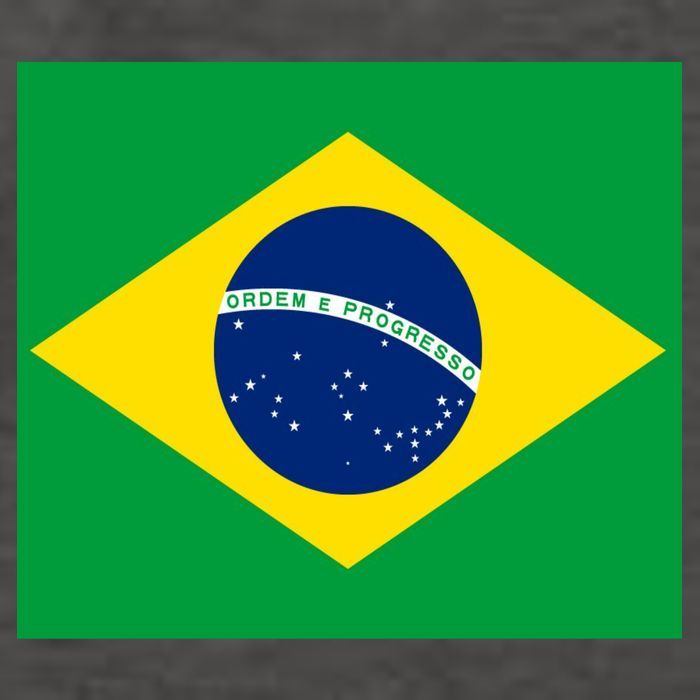 Brazilian Flag Brazil Country Vector Backpack
