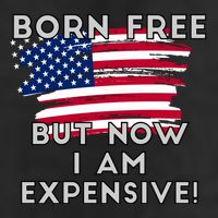 Born Free But Now I Am Expensive Funny Adult Drive Performance Visor