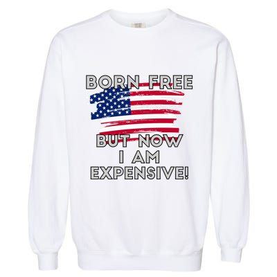 Born Free But Now I Am Expensive Funny Garment-Dyed Sweatshirt